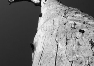 Fotografieklub se laastes